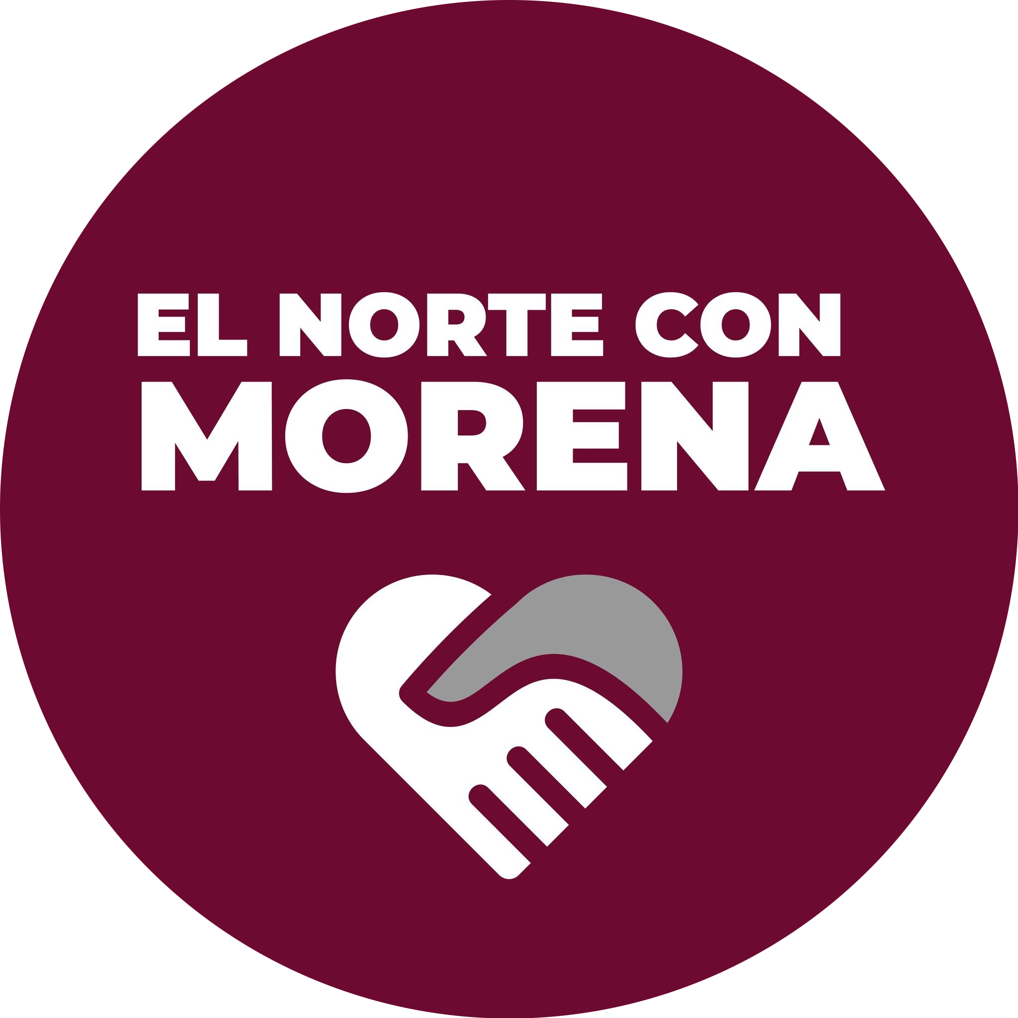 Logo Comunidad 4T Santa Catarina